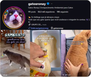 dfc_prof_gatos